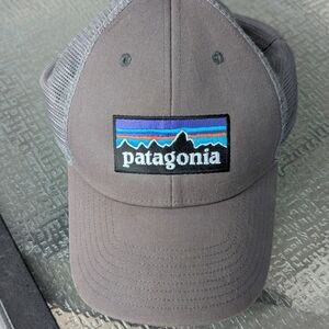 Patagonia Gray Cap